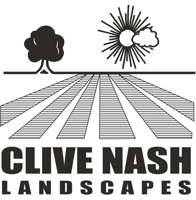 Nash Clive Logo Art